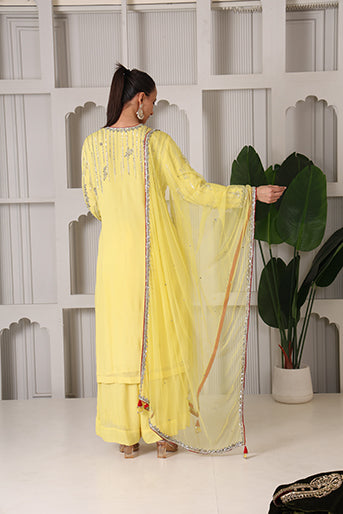 Haldi Glow Elegance Set